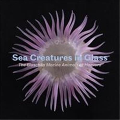 Sea Creatures in Glass: The Blaschka Marine Animals at Harvard book cover
