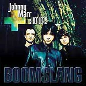Boomslang book cover