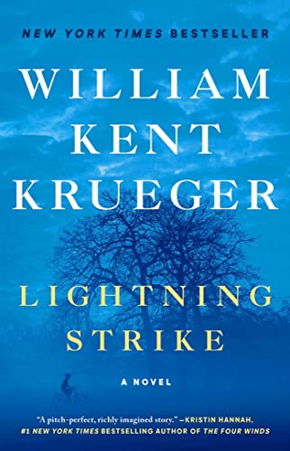 Lightning Strike: A Novelvolume 18 book cover