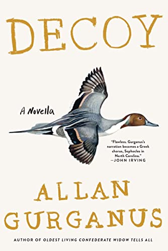 Decoy: A Novella book cover