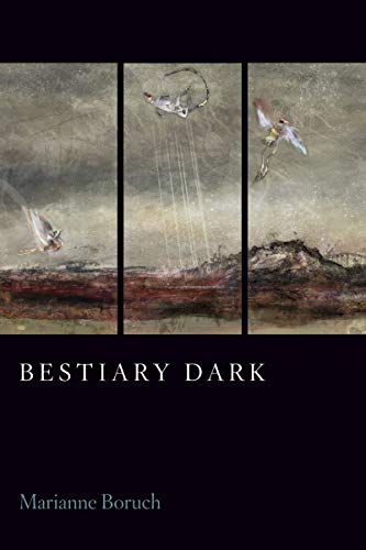 Bestiary Dark book cover
