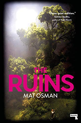 Ruins book cover
