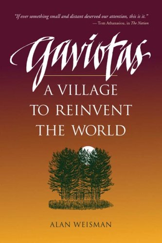 Gaviotas: A Village to Reinvent the World book cover