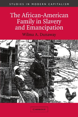 African-American Family in Slavery and Emancipation book cover