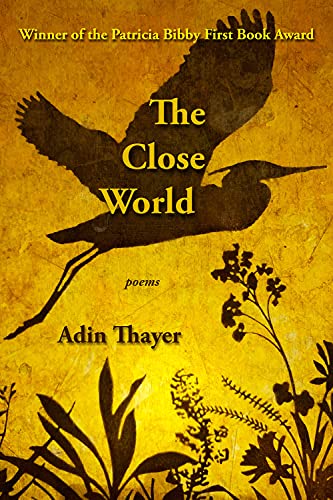 Close World book cover