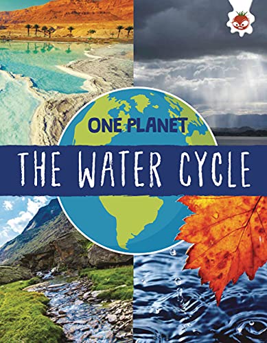 Water Cycle book cover