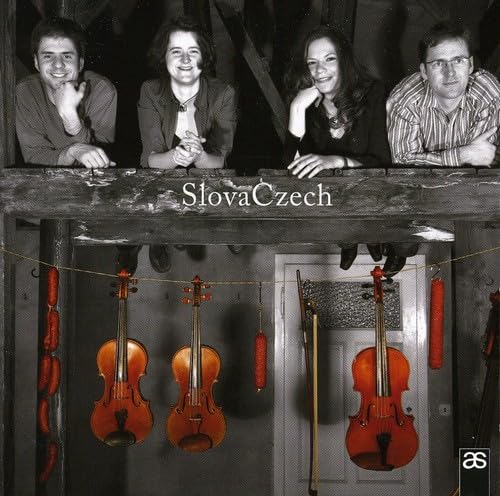 Slova Czech book cover
