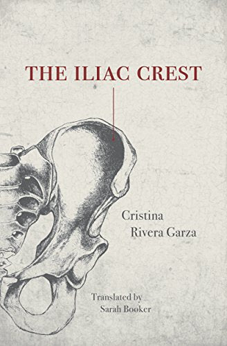Iliac Crest book cover