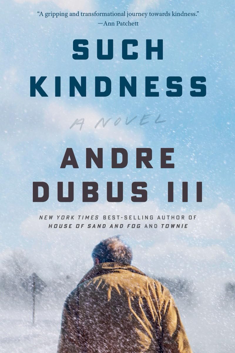 Such Kindness book cover