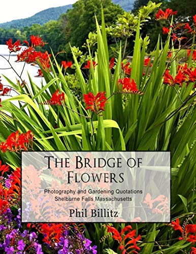 Bridge of Flowers book cover
