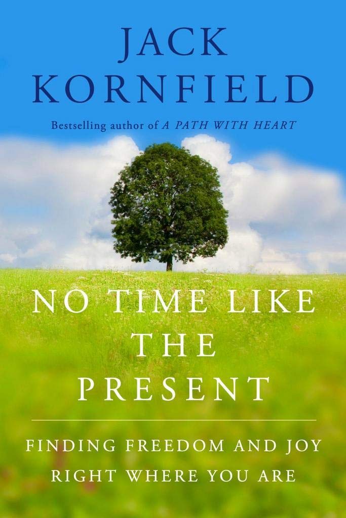 No Time Like the Present: Finding Freedom, Love, and Joy Right Where You Are book cover