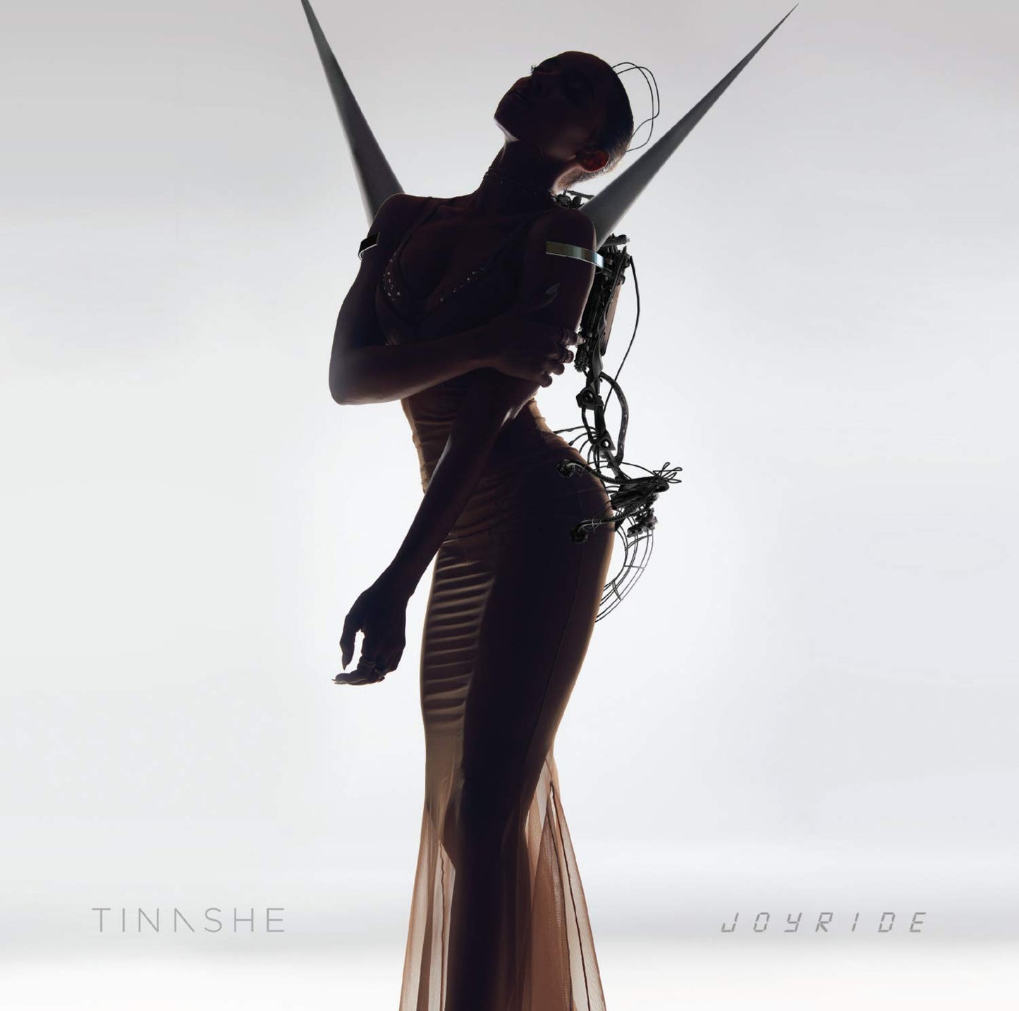 Joyride book cover
