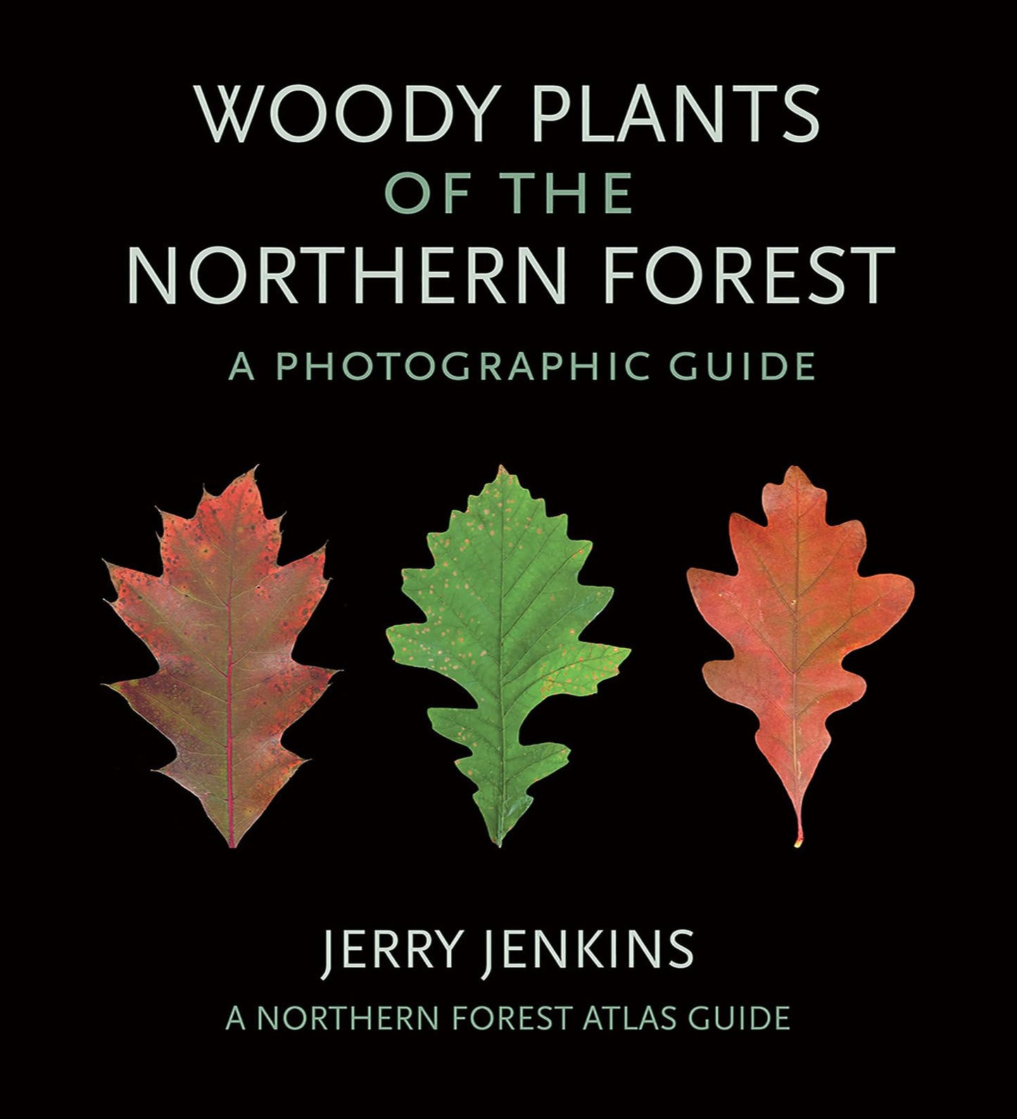 Woody Plants of the Northern Forest: A Photographic Guide book cover