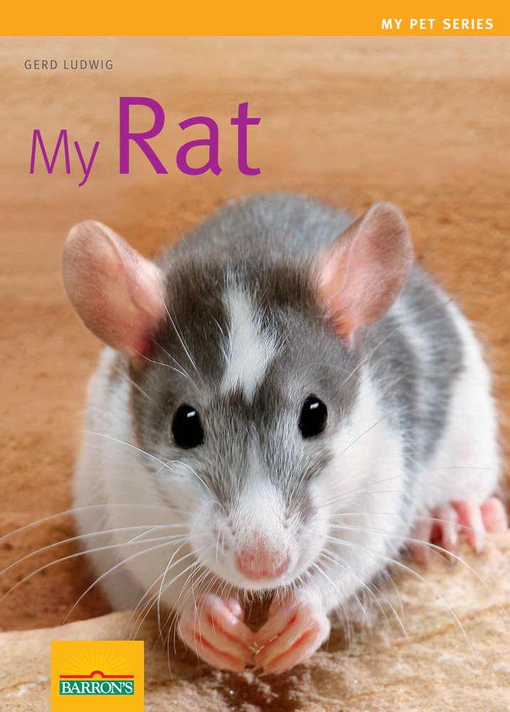 My Rat book cover
