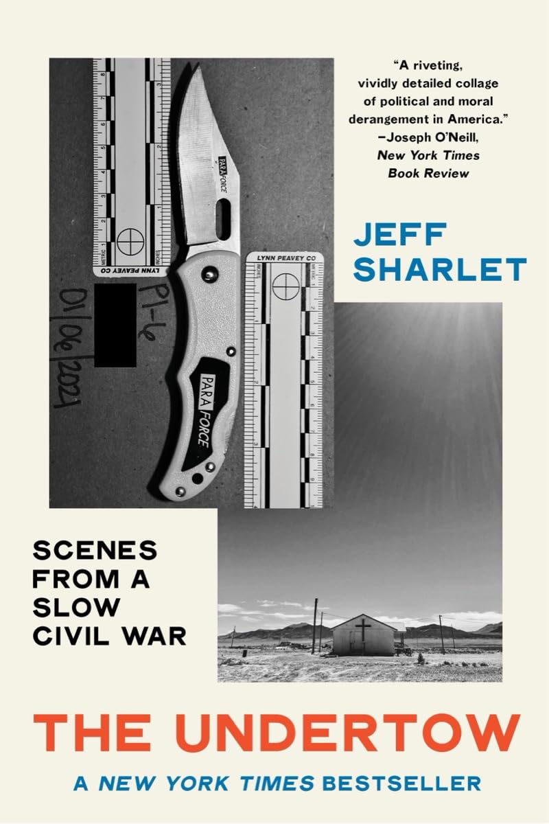 Undertow: Scenes from a Slow Civil War book cover