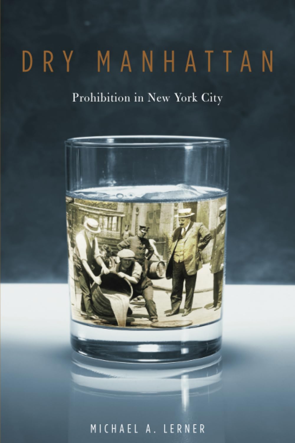 Dry Manhattan: Prohibition in New York City book cover