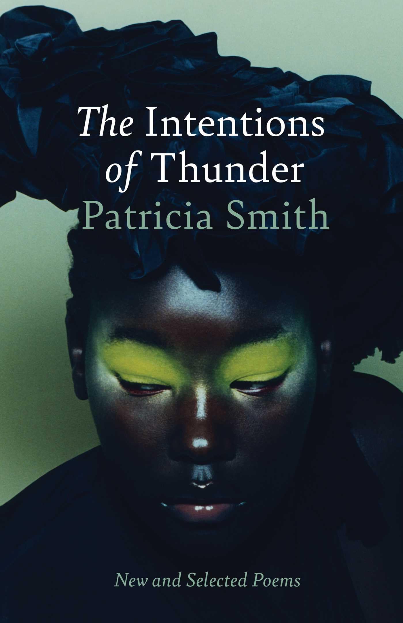 The Intentions of Thunder book cover