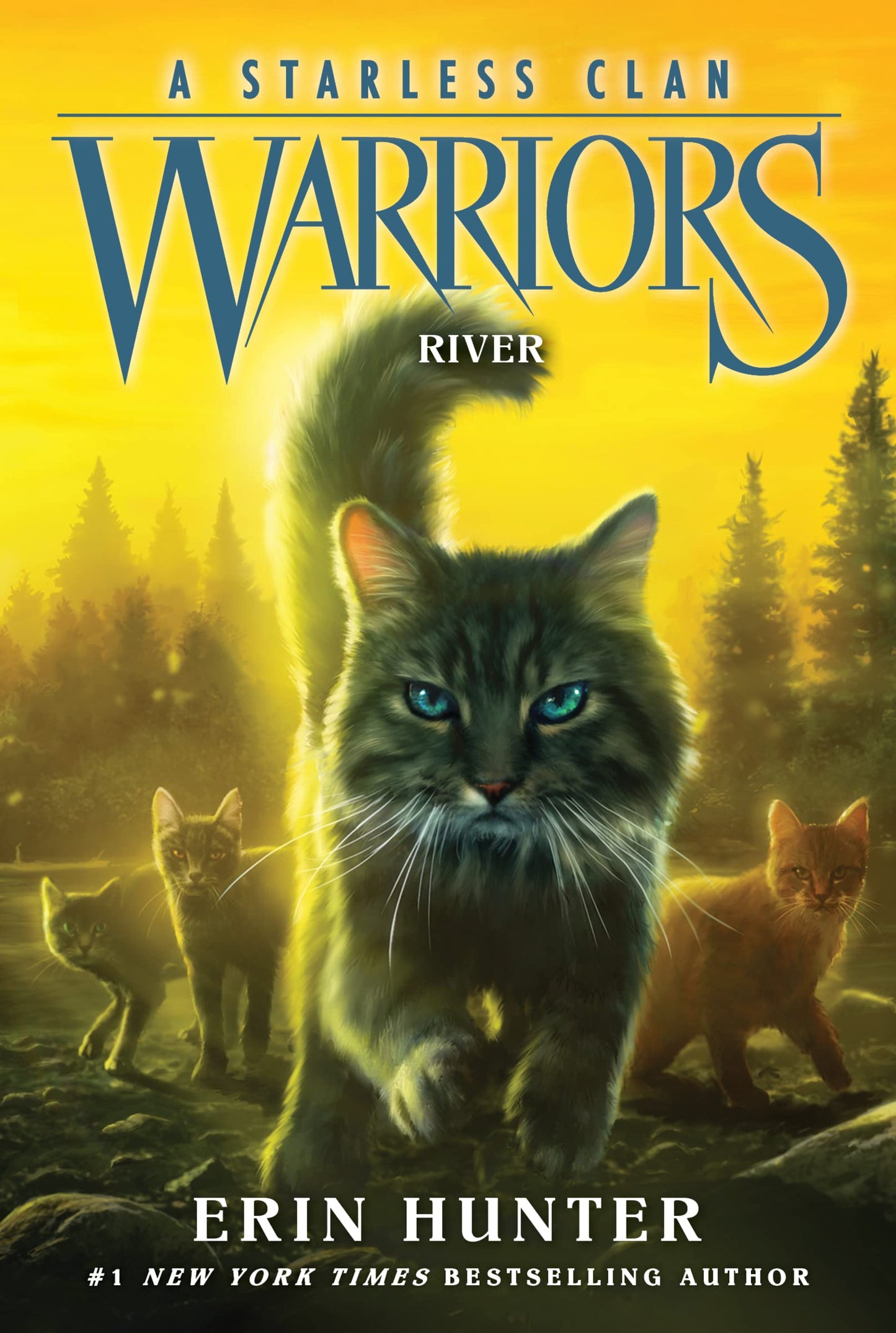 River book cover