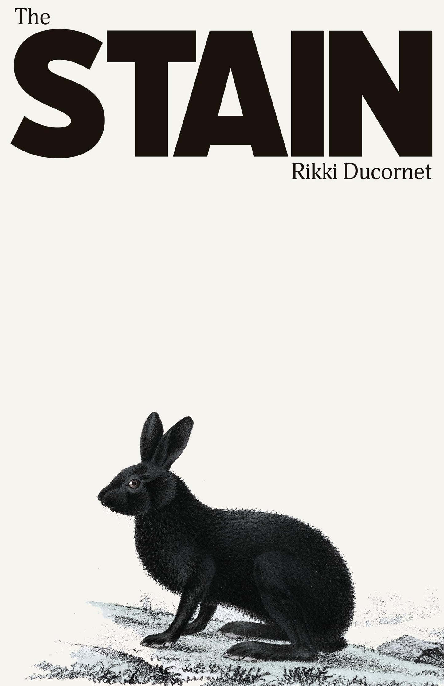 The Stain book cover