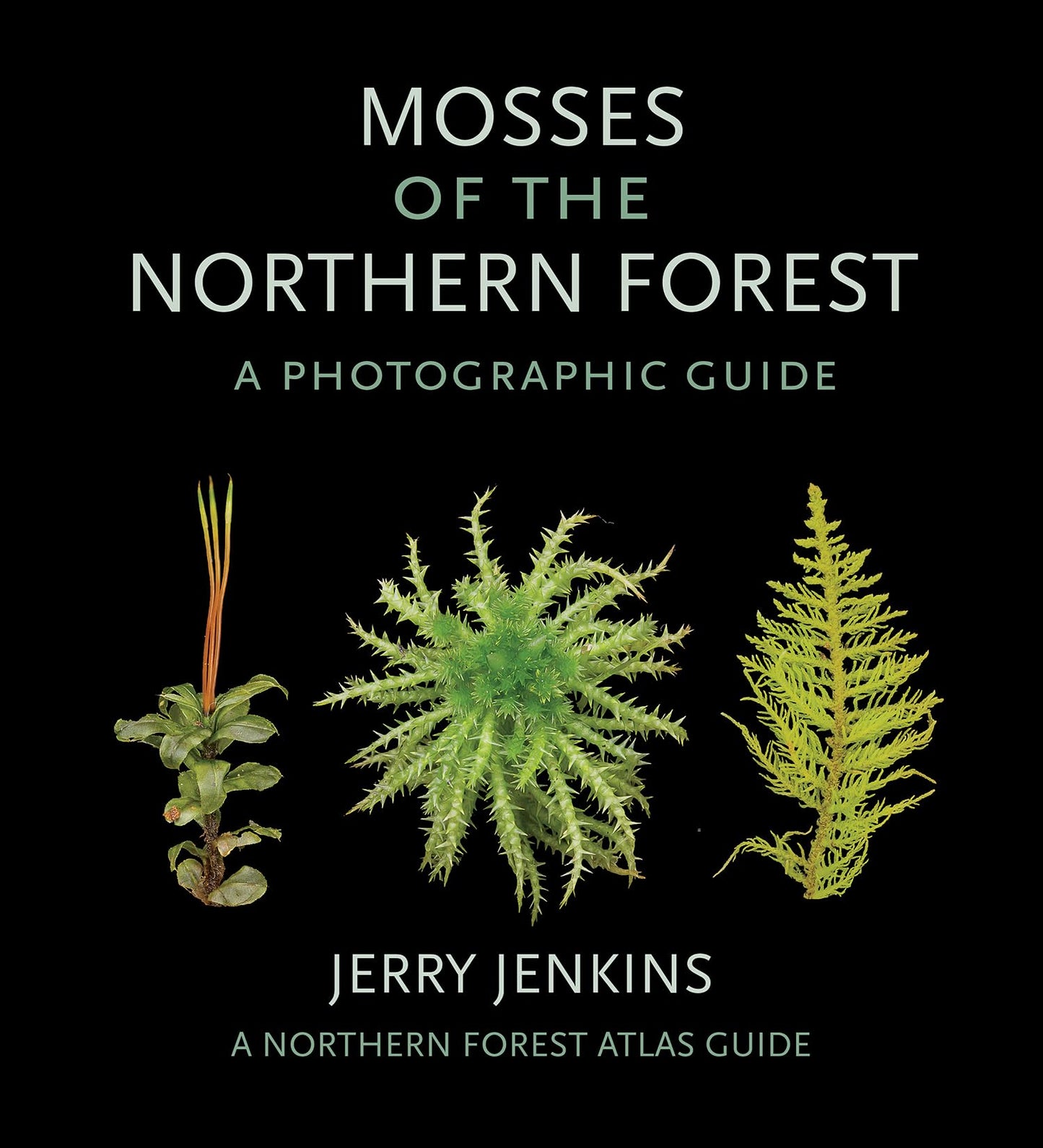 Mosses of the Northern Forest: A Photographic Guide book cover