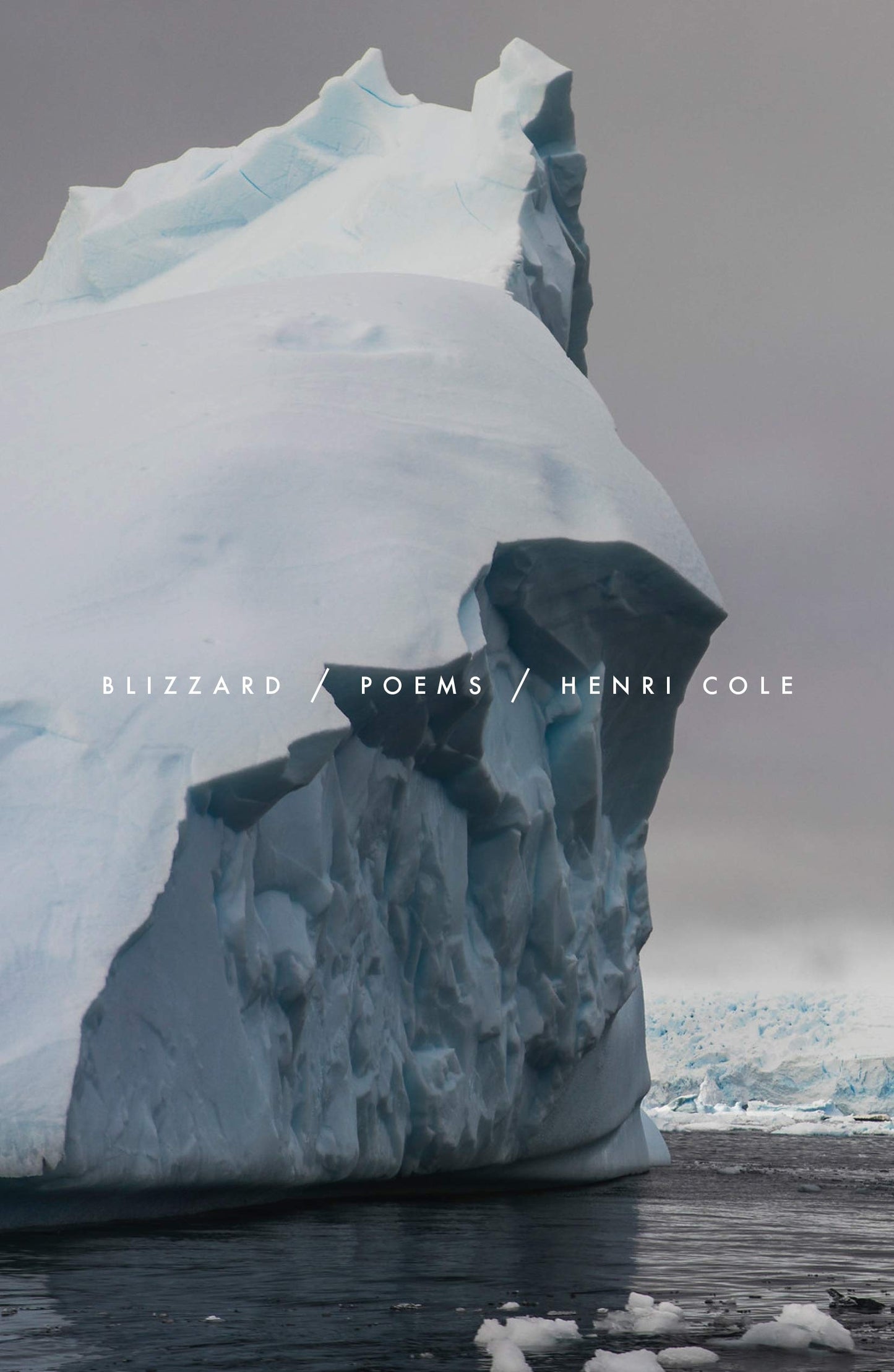 Blizzard: Poems book cover