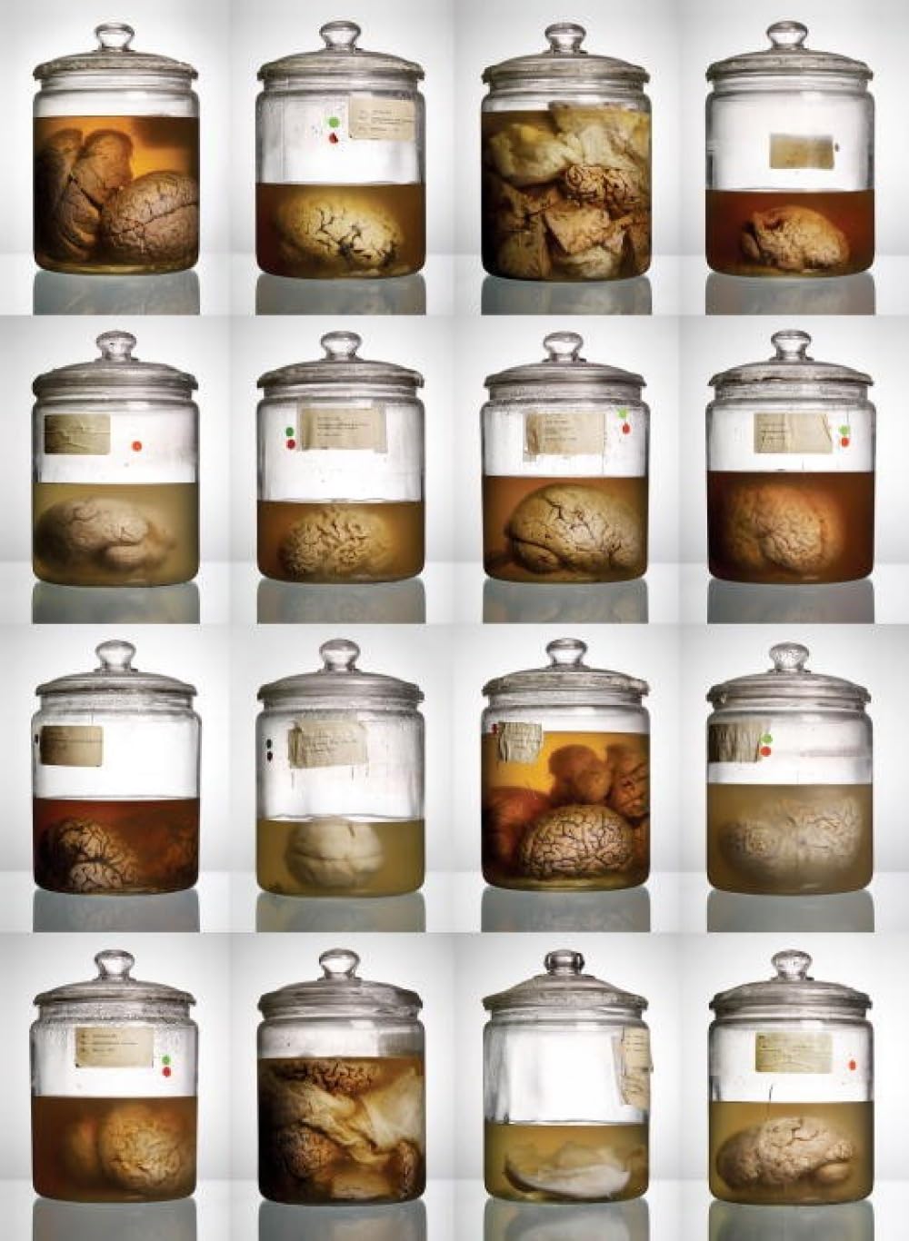 Malformed: Forgotten Brains of the Texas State Mental Hospital book cover