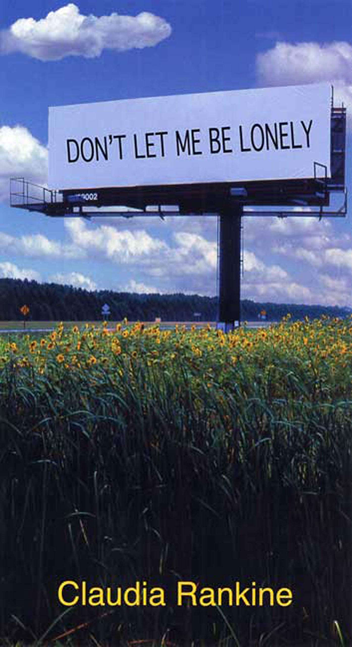 Don't Let Me Be Lonely: An American Lyric book cover