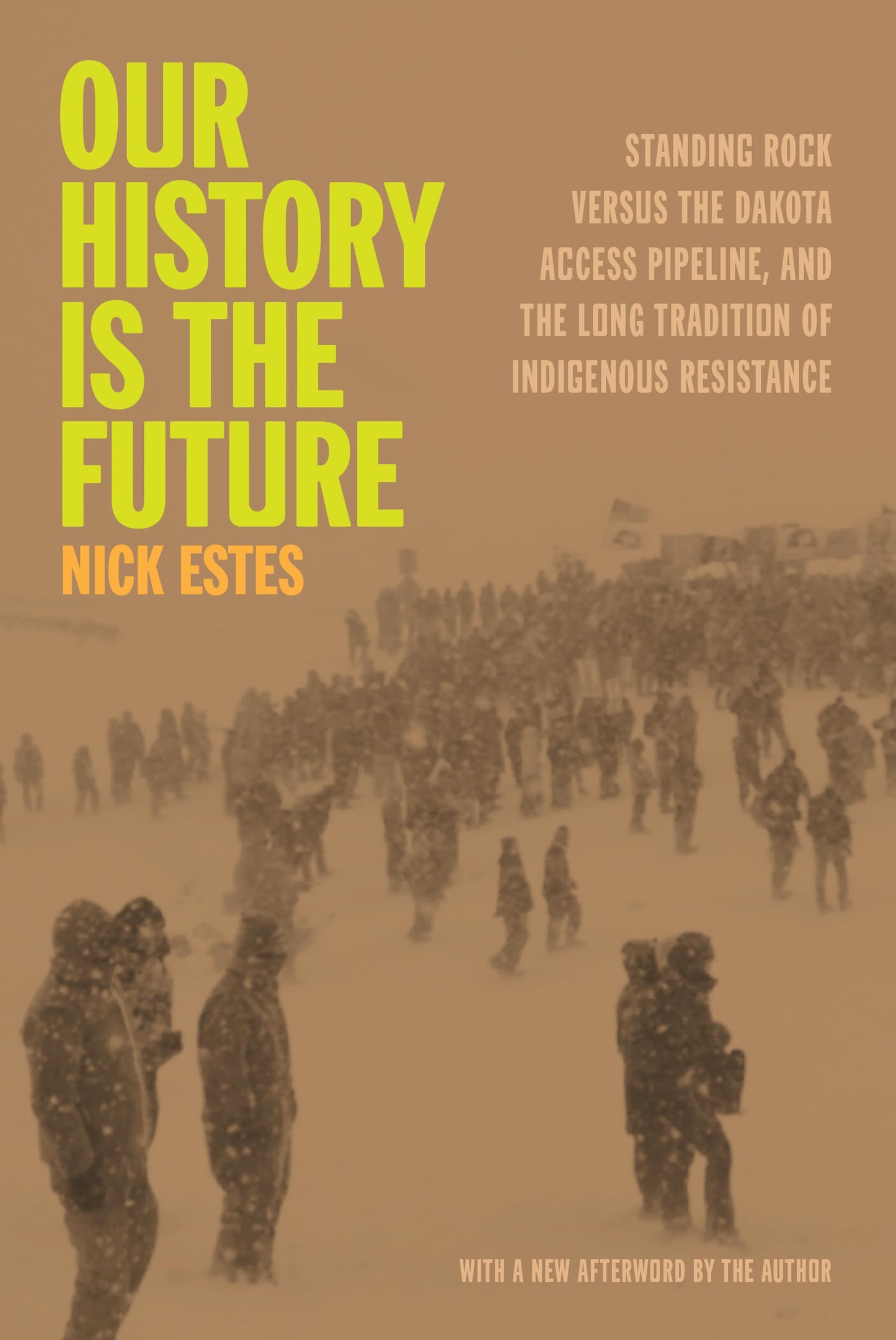 Our History Is the Future book cover