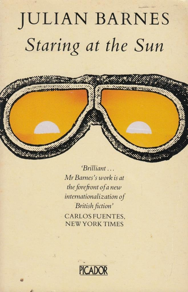 Staring At The Sun book cover