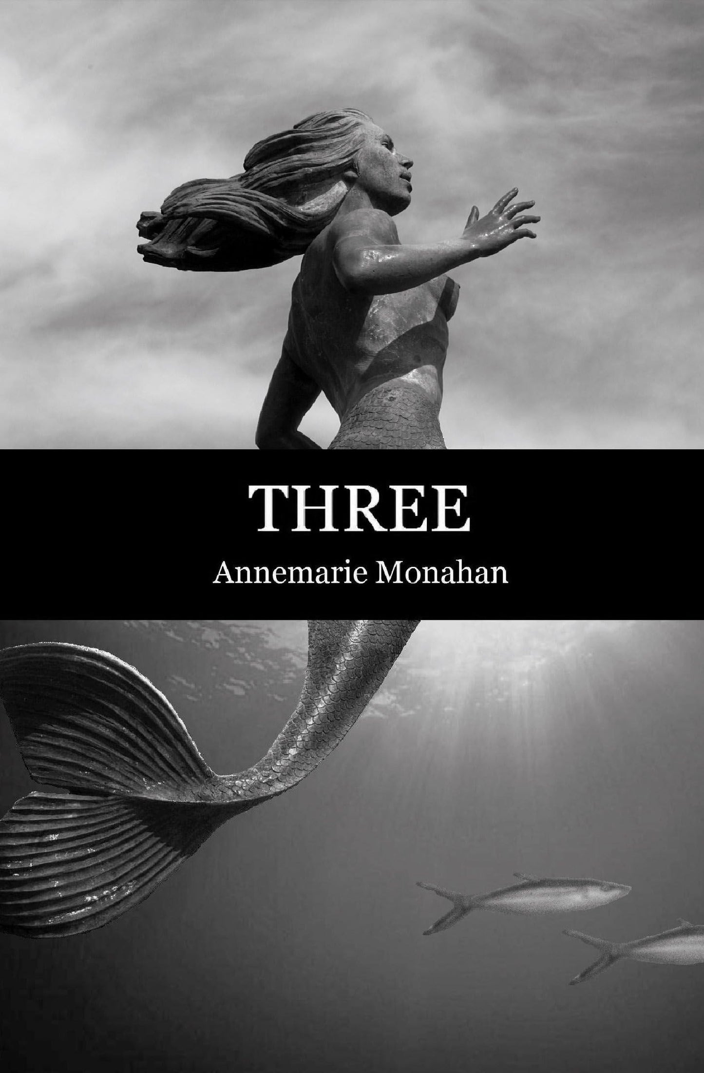 Three book cover