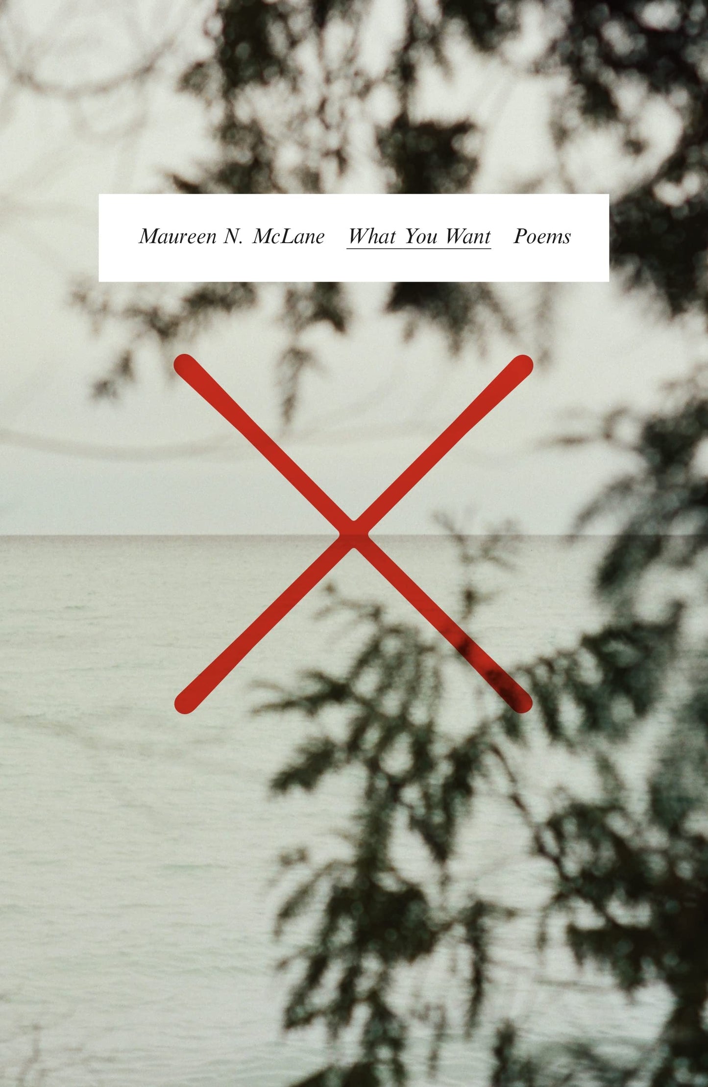 What You Want: Poems book cover
