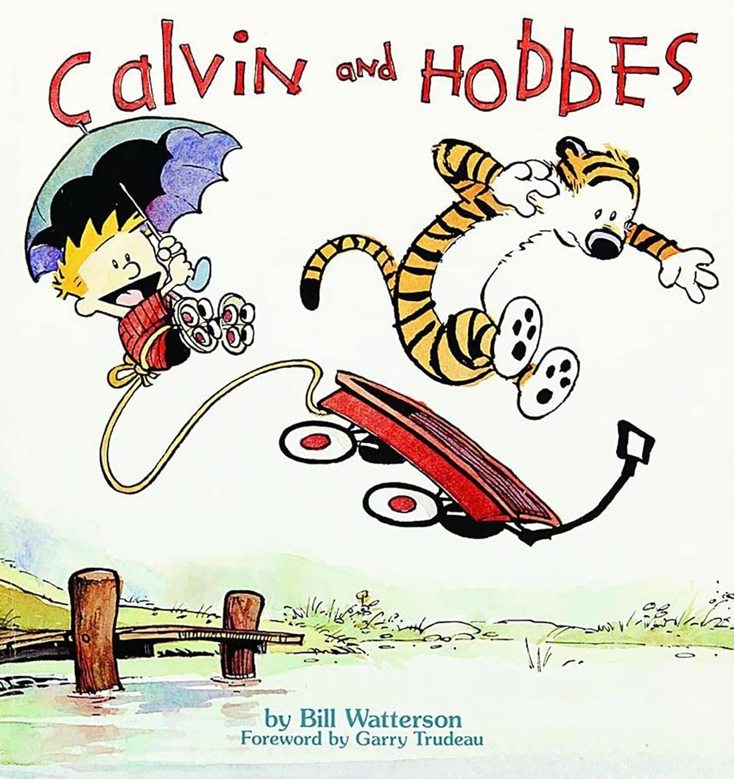Calvin and Hobbes book cover