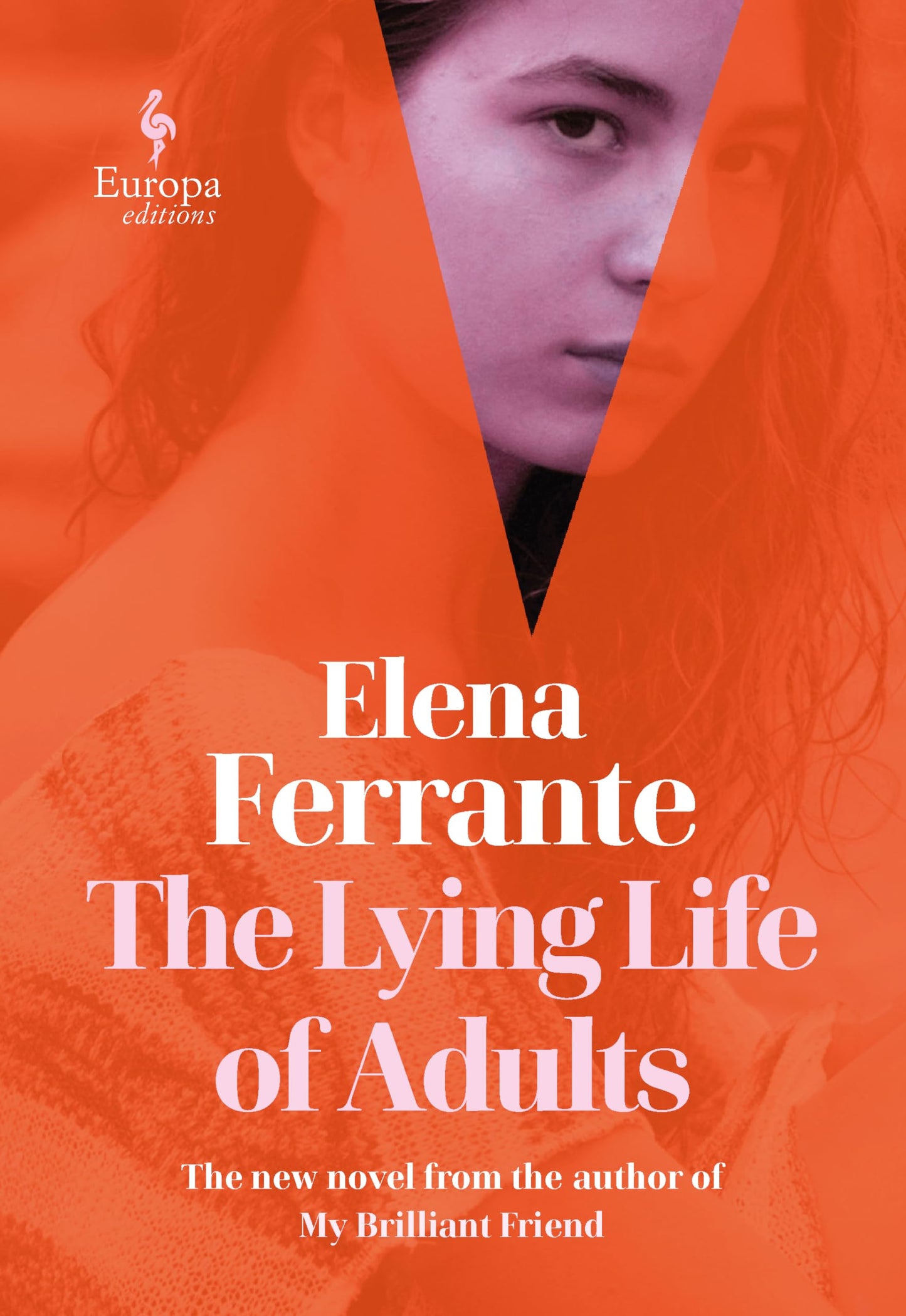 Lying Life of Adults book cover