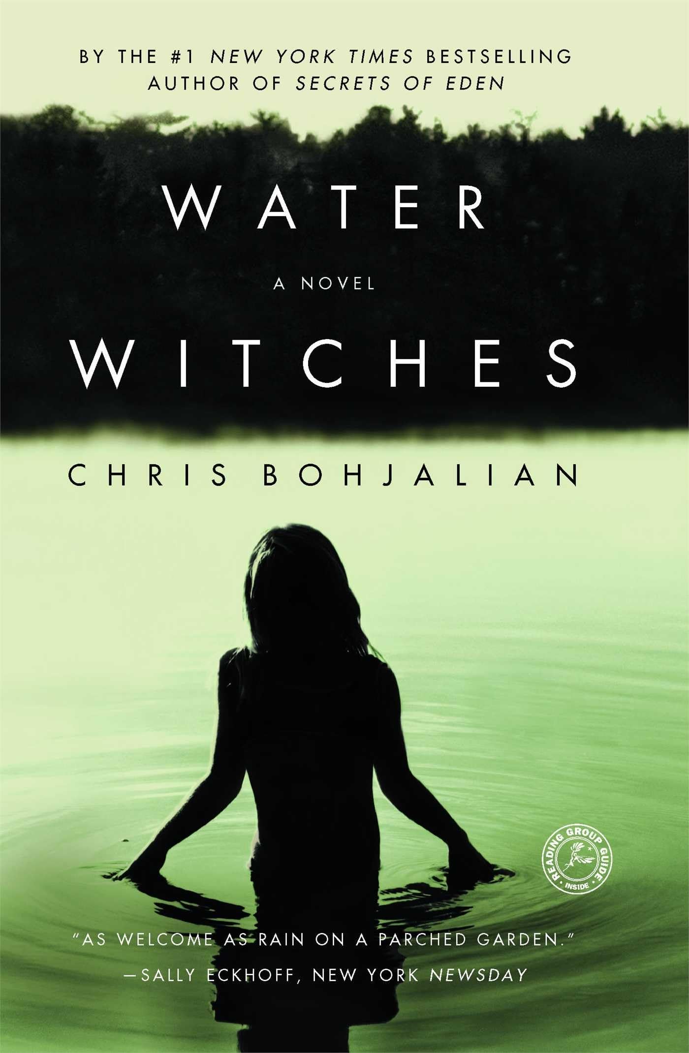Water Witches book cover
