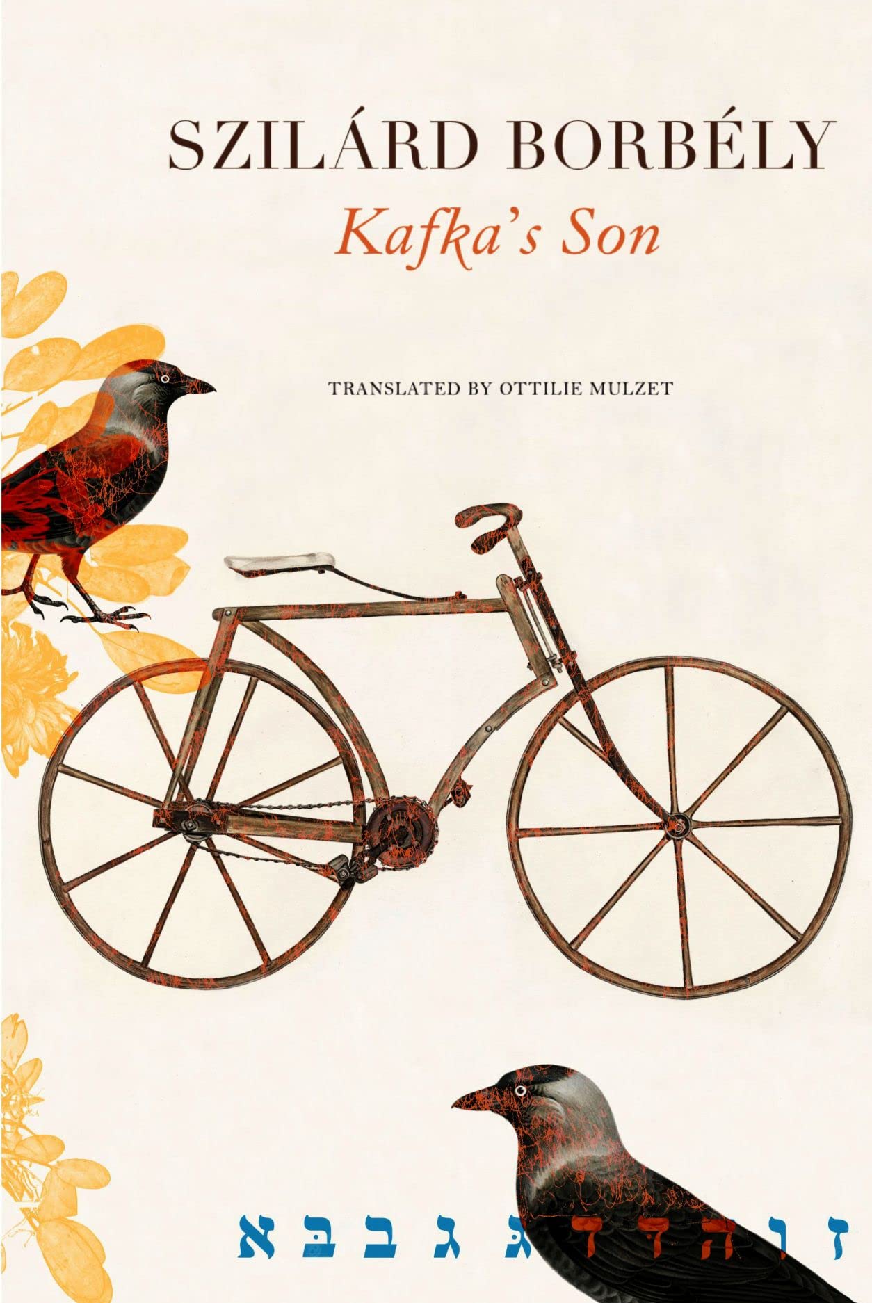 Kafka's Son book cover