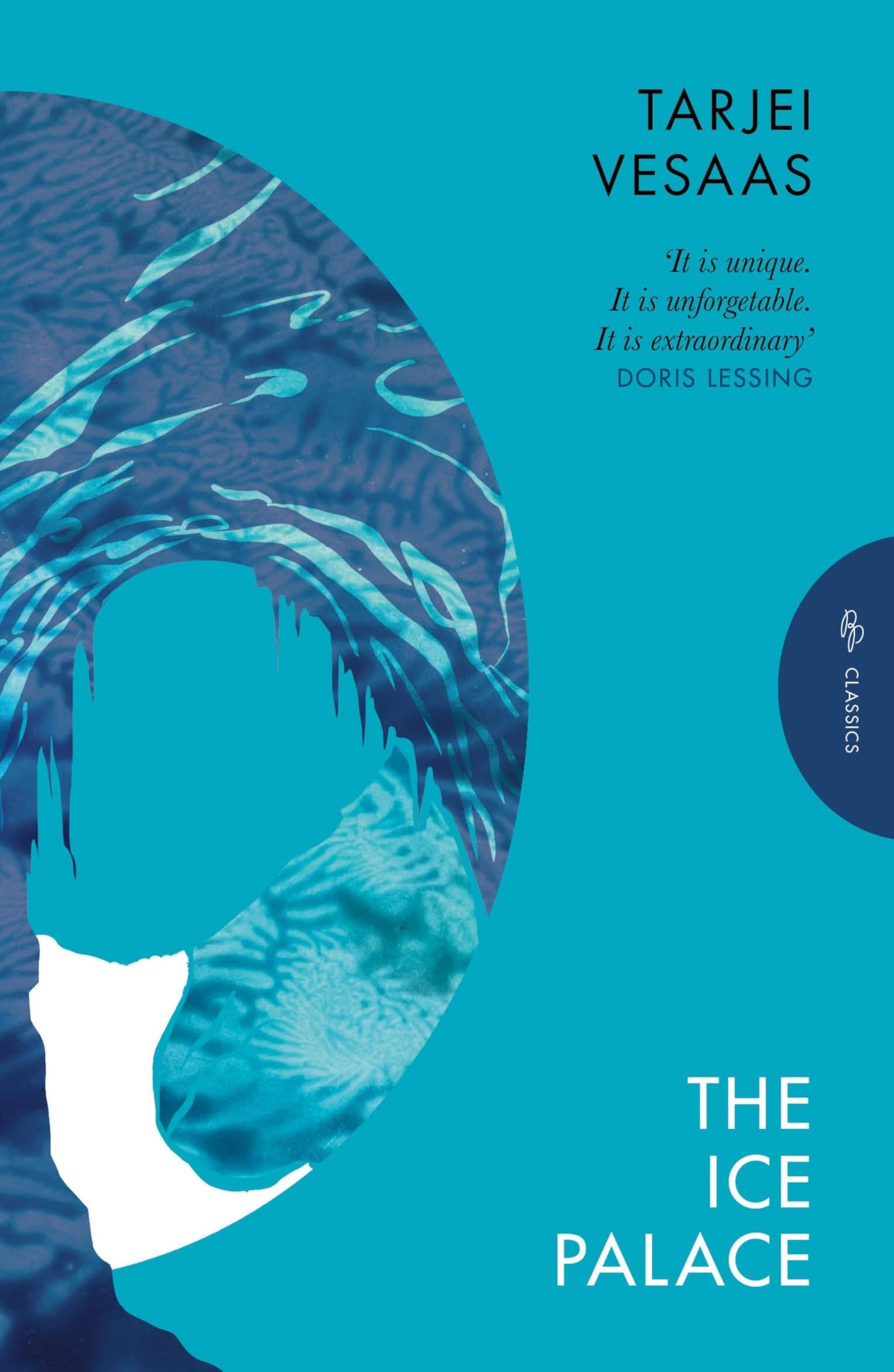 The Ice Palace book cover