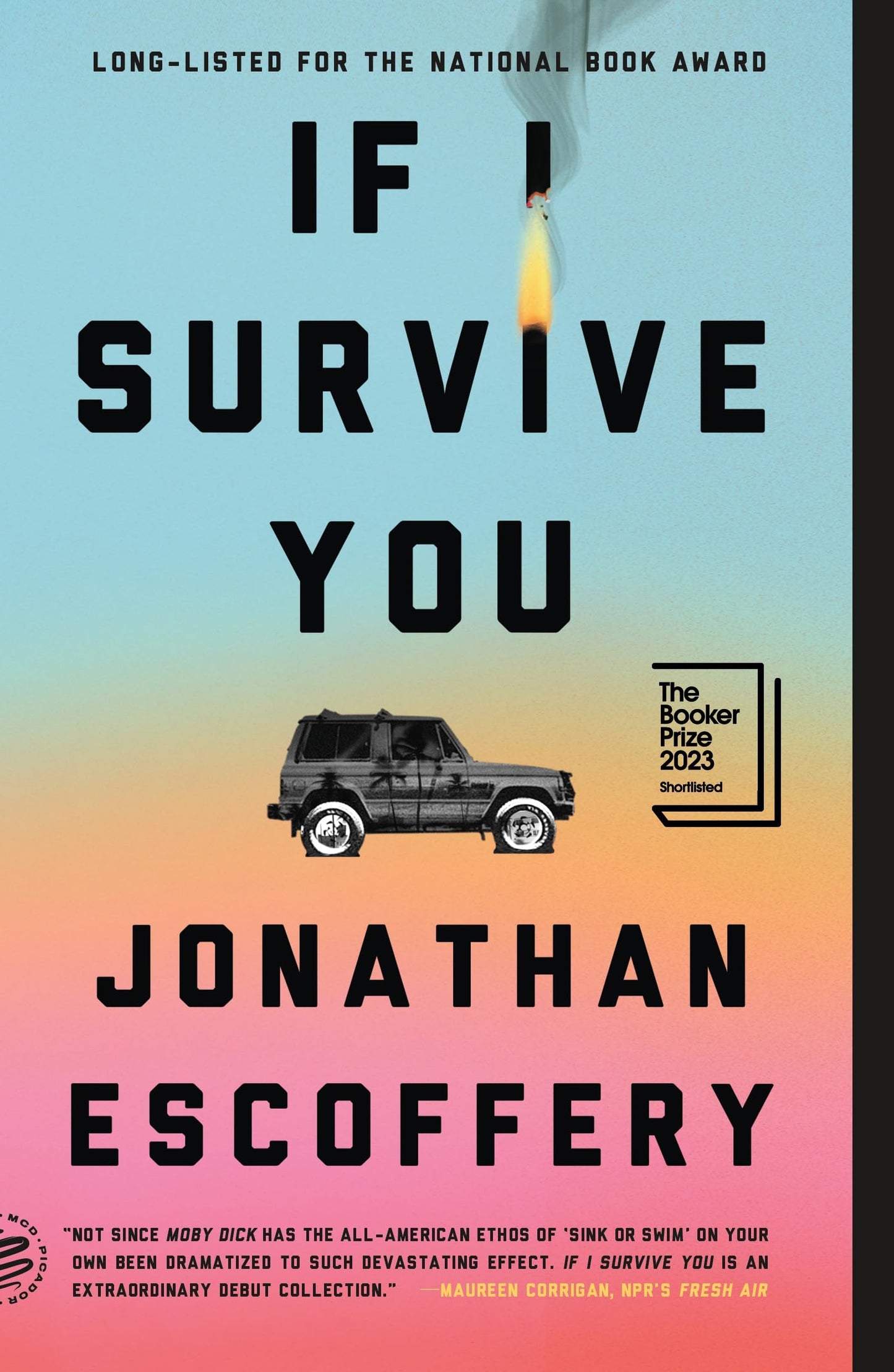 If I Survive You book cover