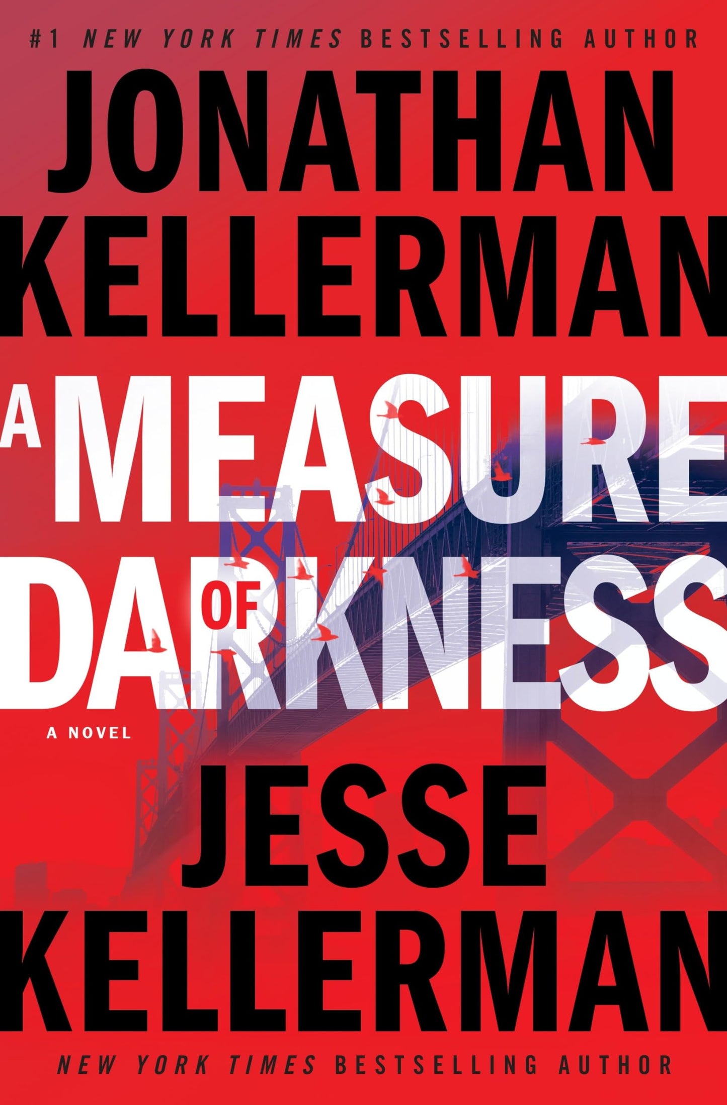 Measure of Darkness book cover