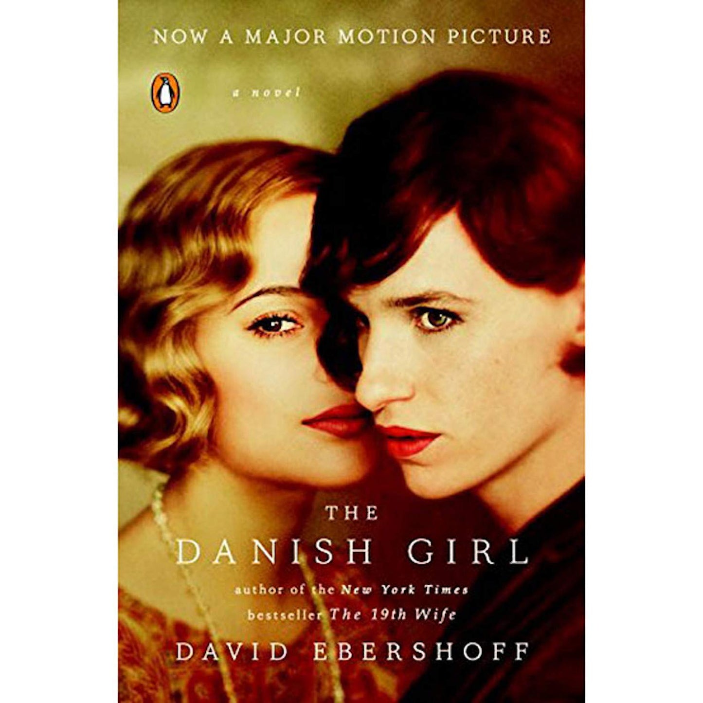 The Danish Girl: A Novel (Movie Tie-In)