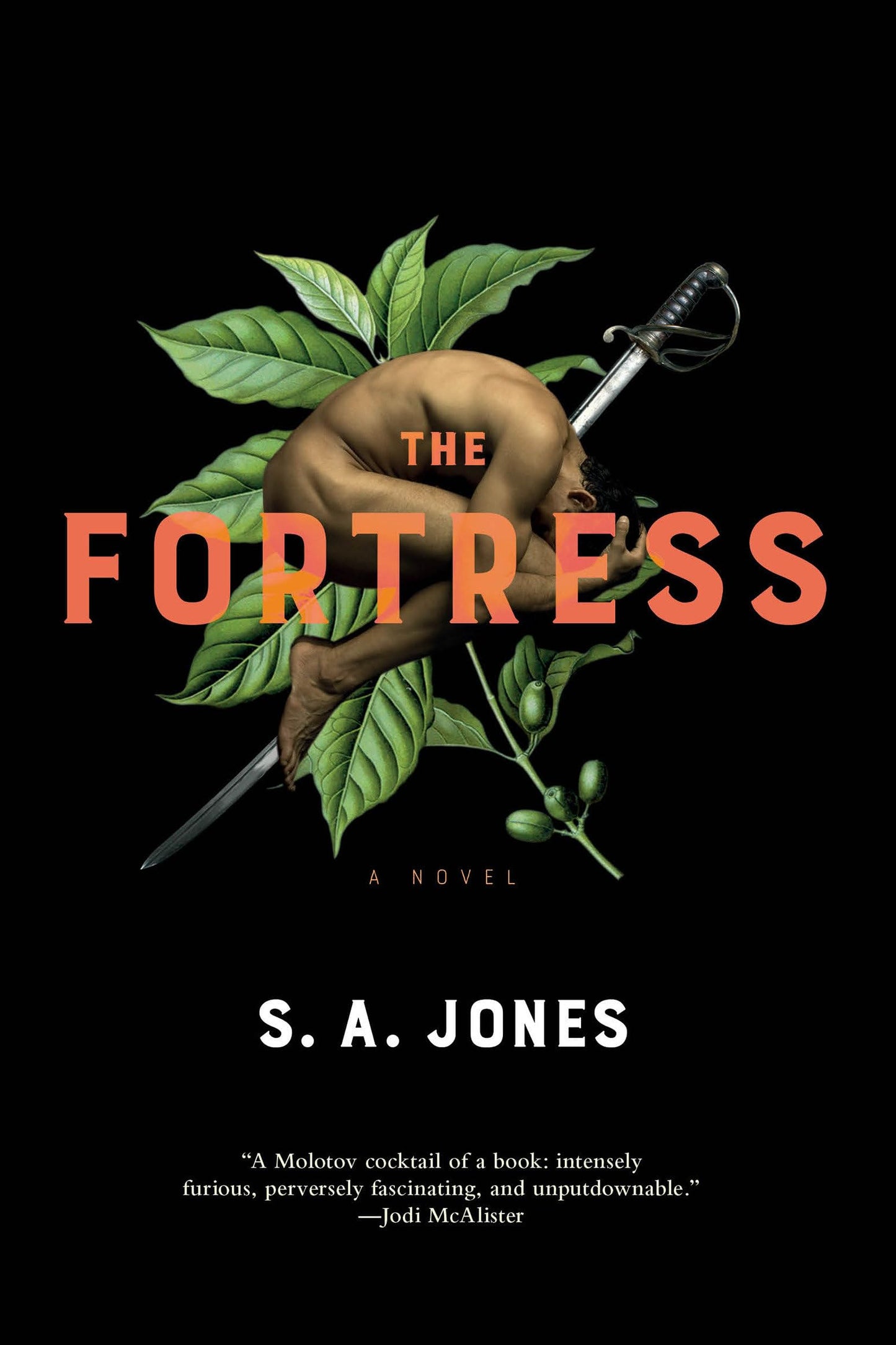 Fortress book cover
