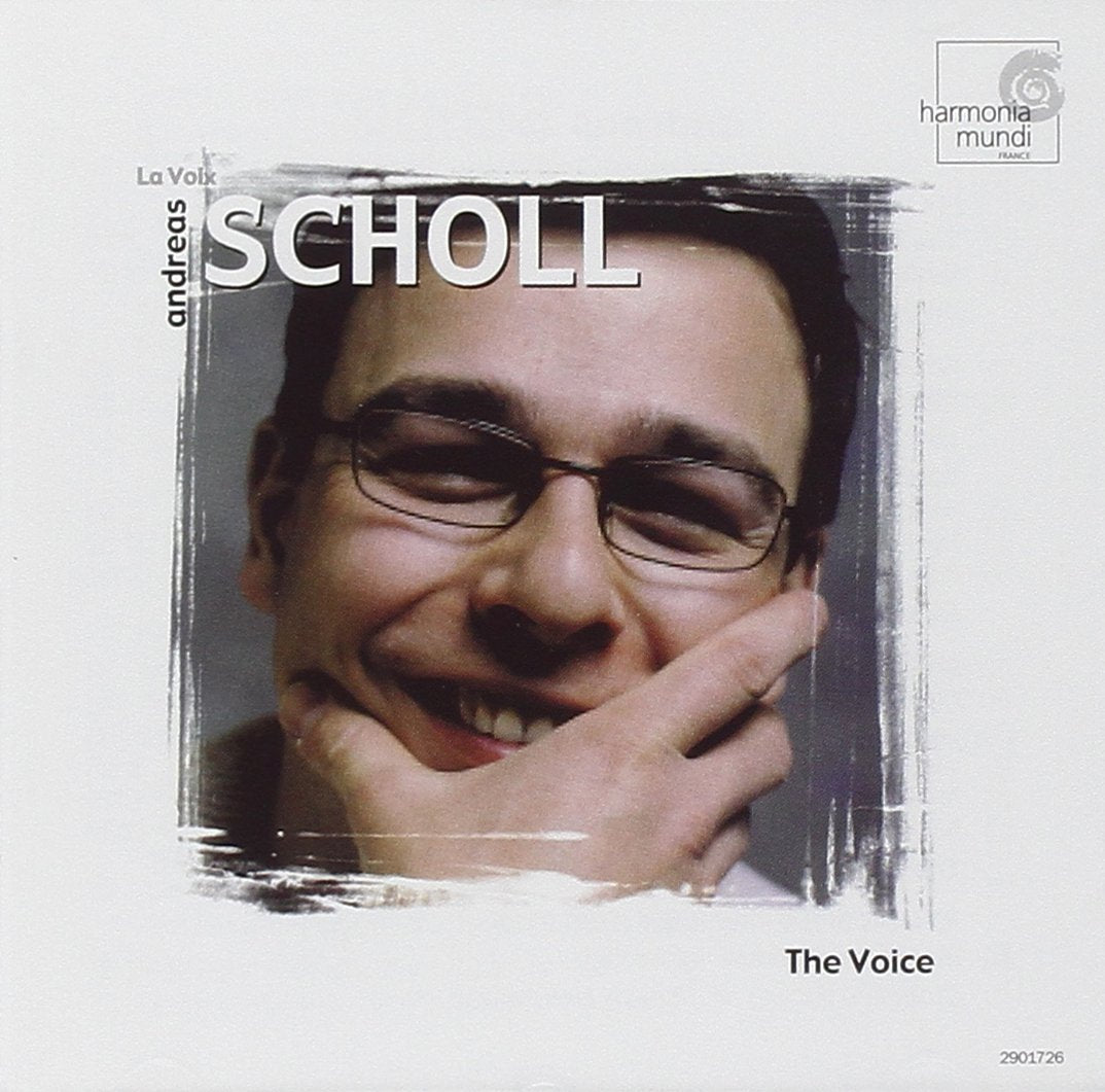 Voice book cover