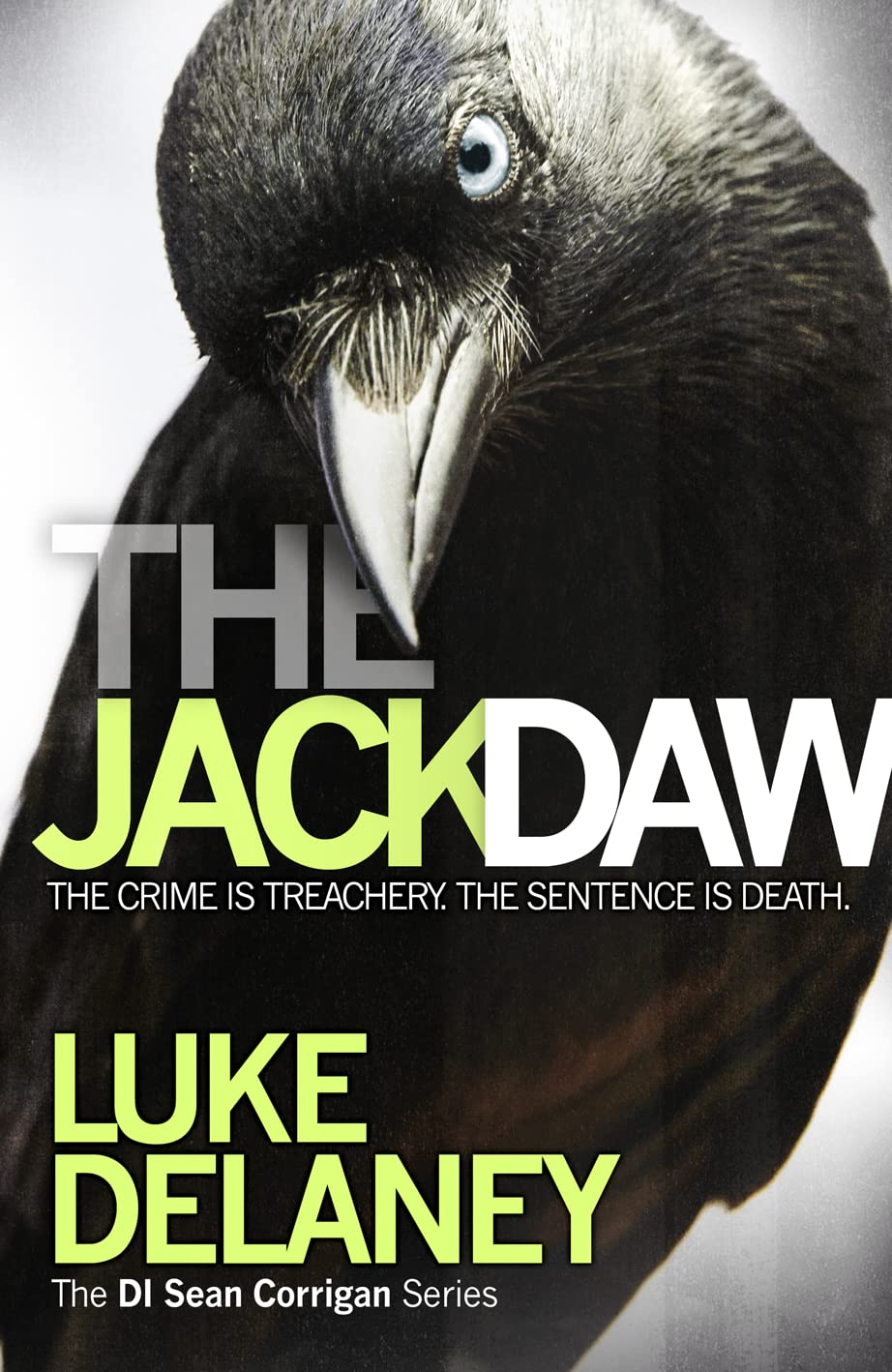 Jackdaw book cover
