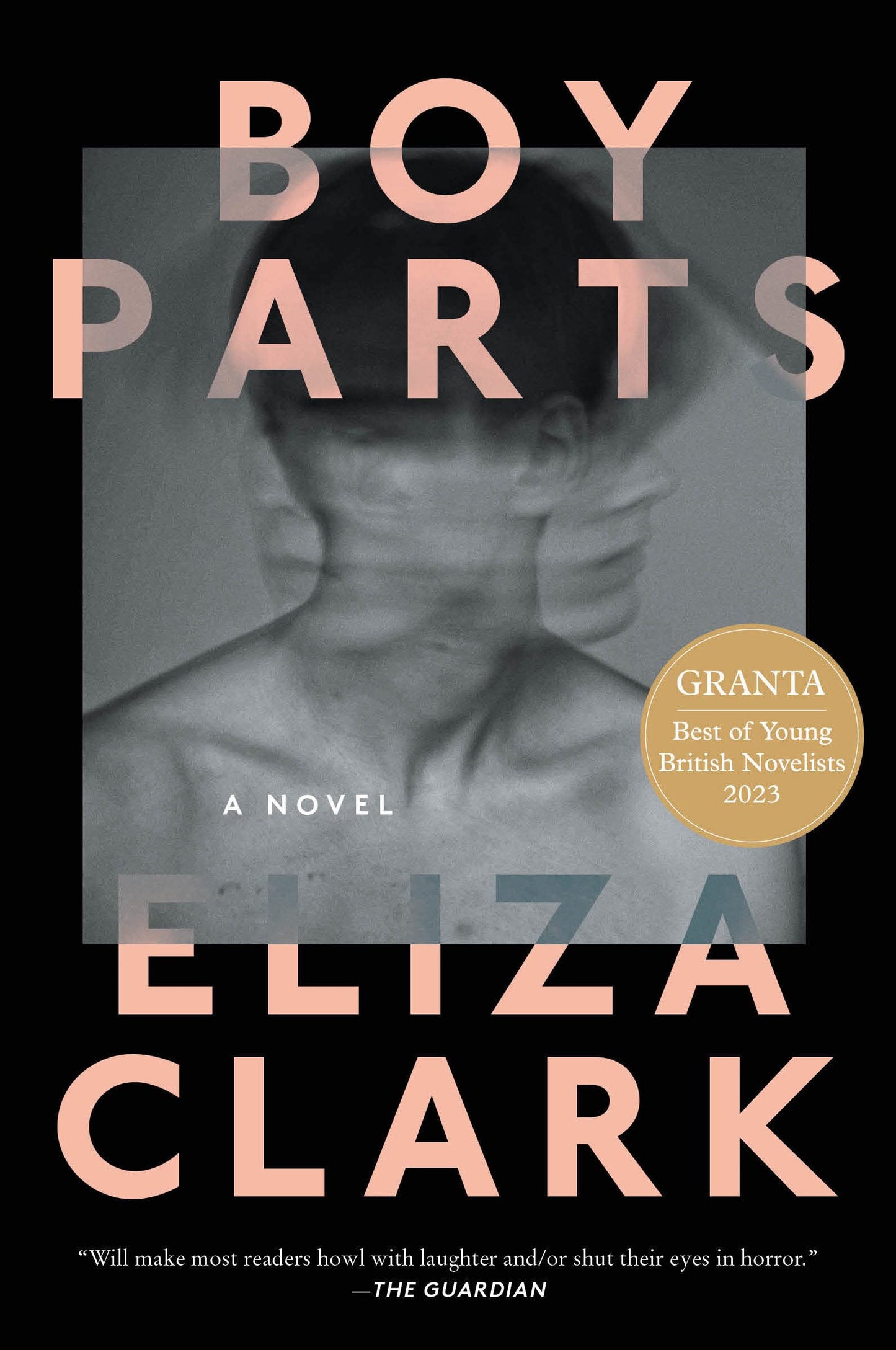 Boy Parts book cover