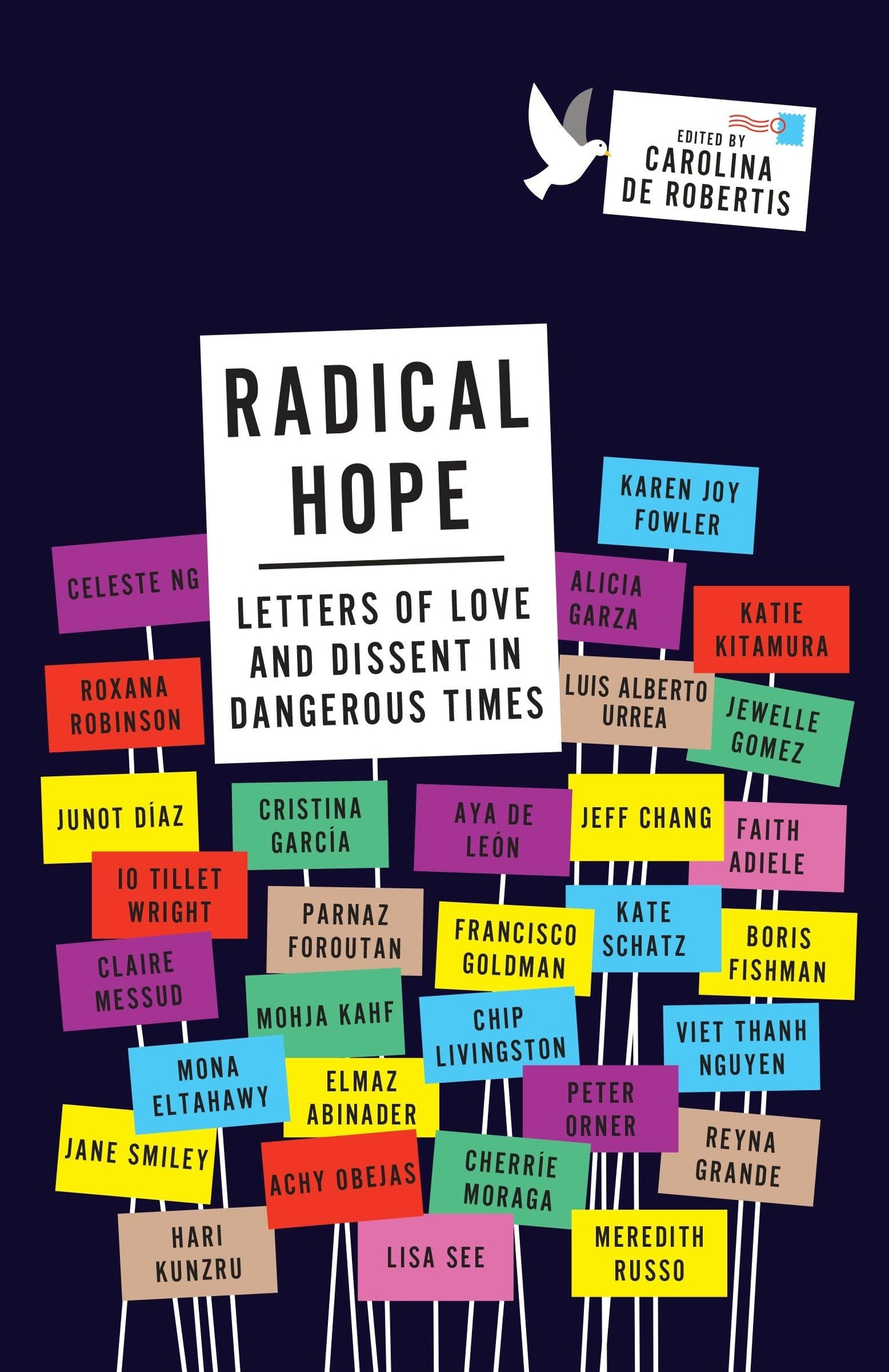 Radical Hope: Letters of Love and Dissent in Dangerous Times book cover