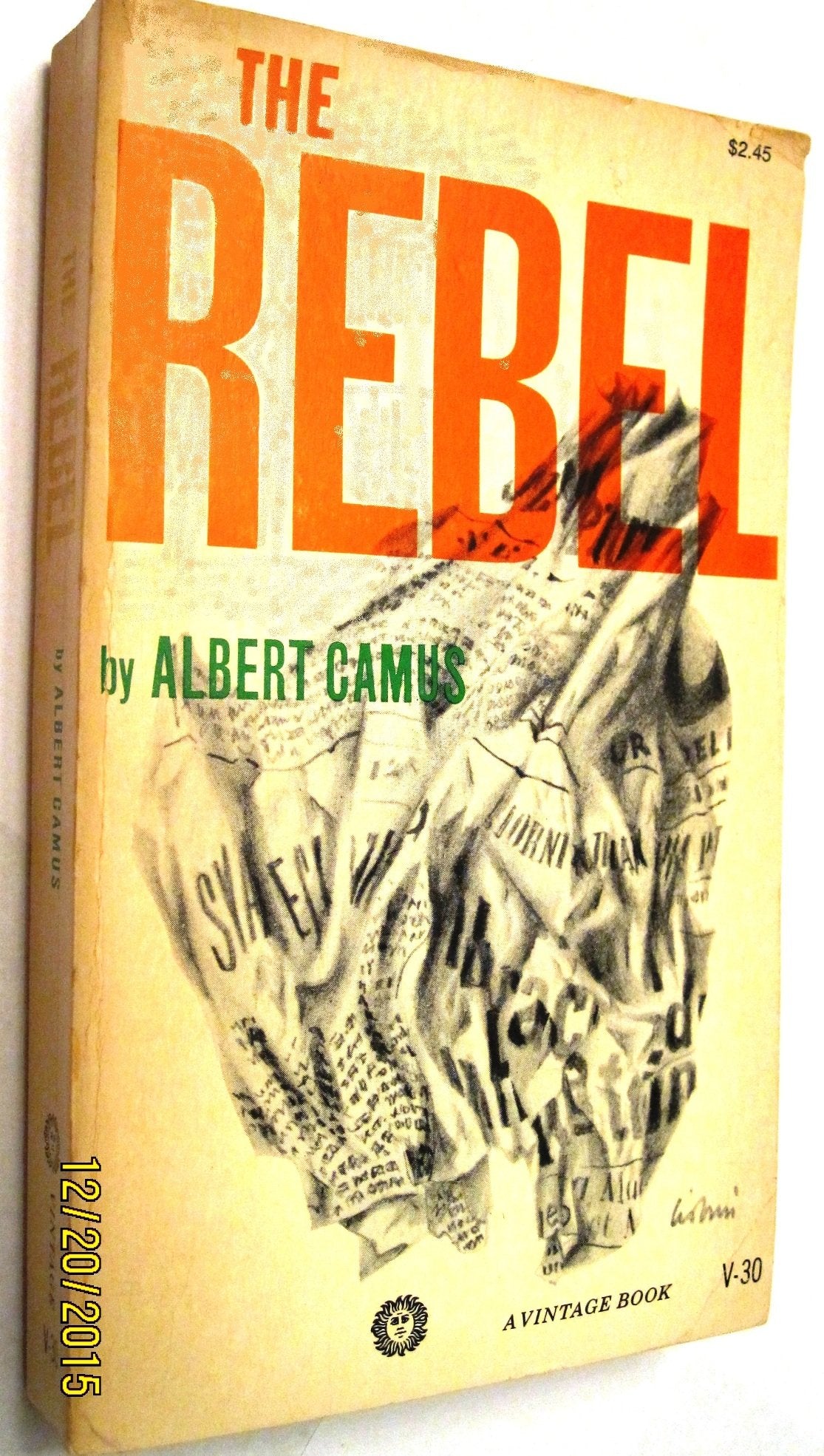 Rebel V30 book cover