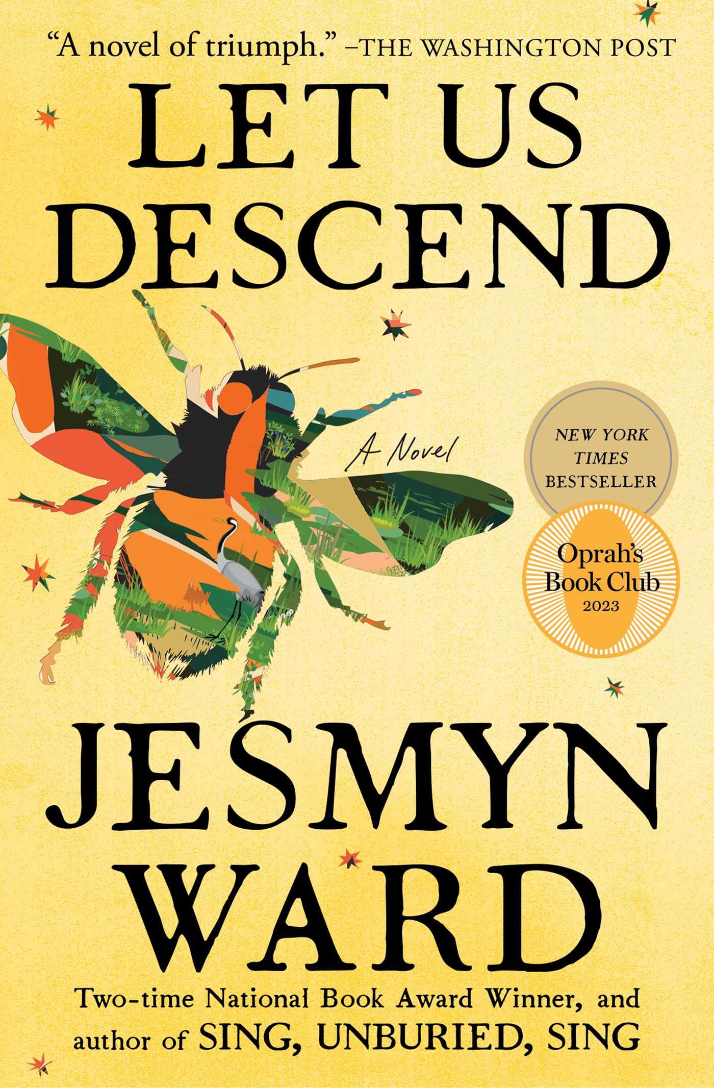 Let Us Descend book cover
