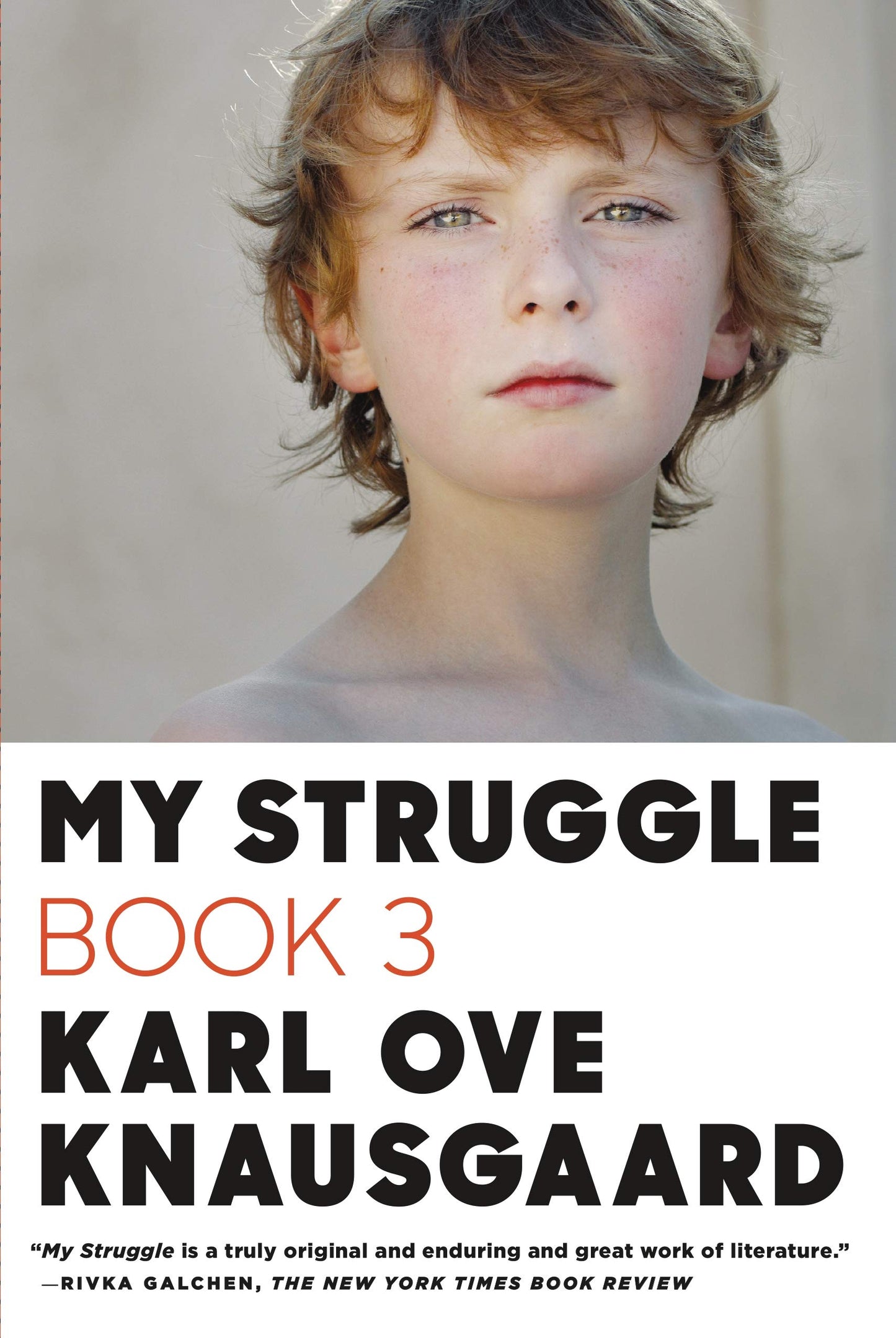 My Struggle Book 3 book cover