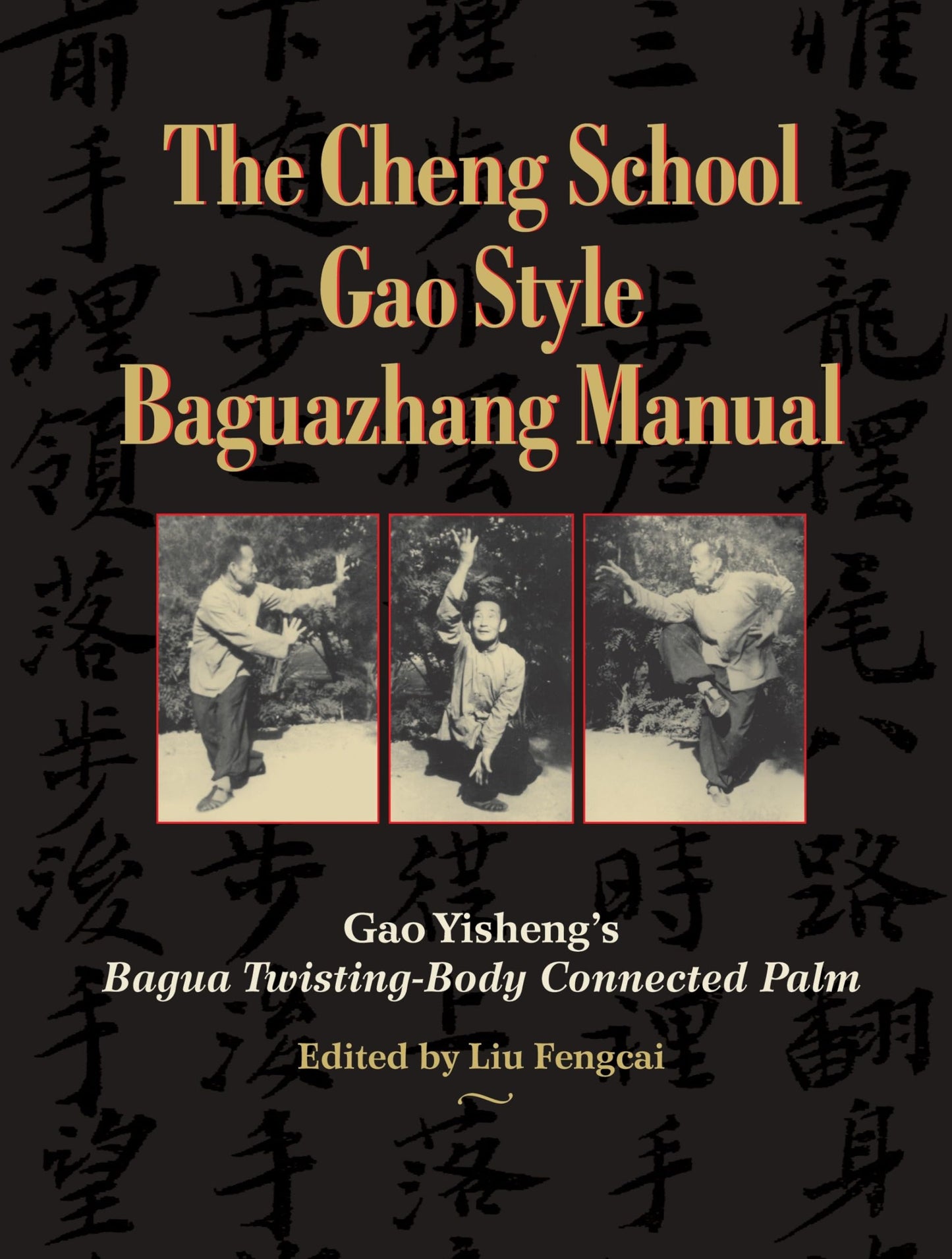 Cheng School Gao Style Baguazhang Manual: Gao Yisheng's Bagua Twisting-Body Connected Palm book cover