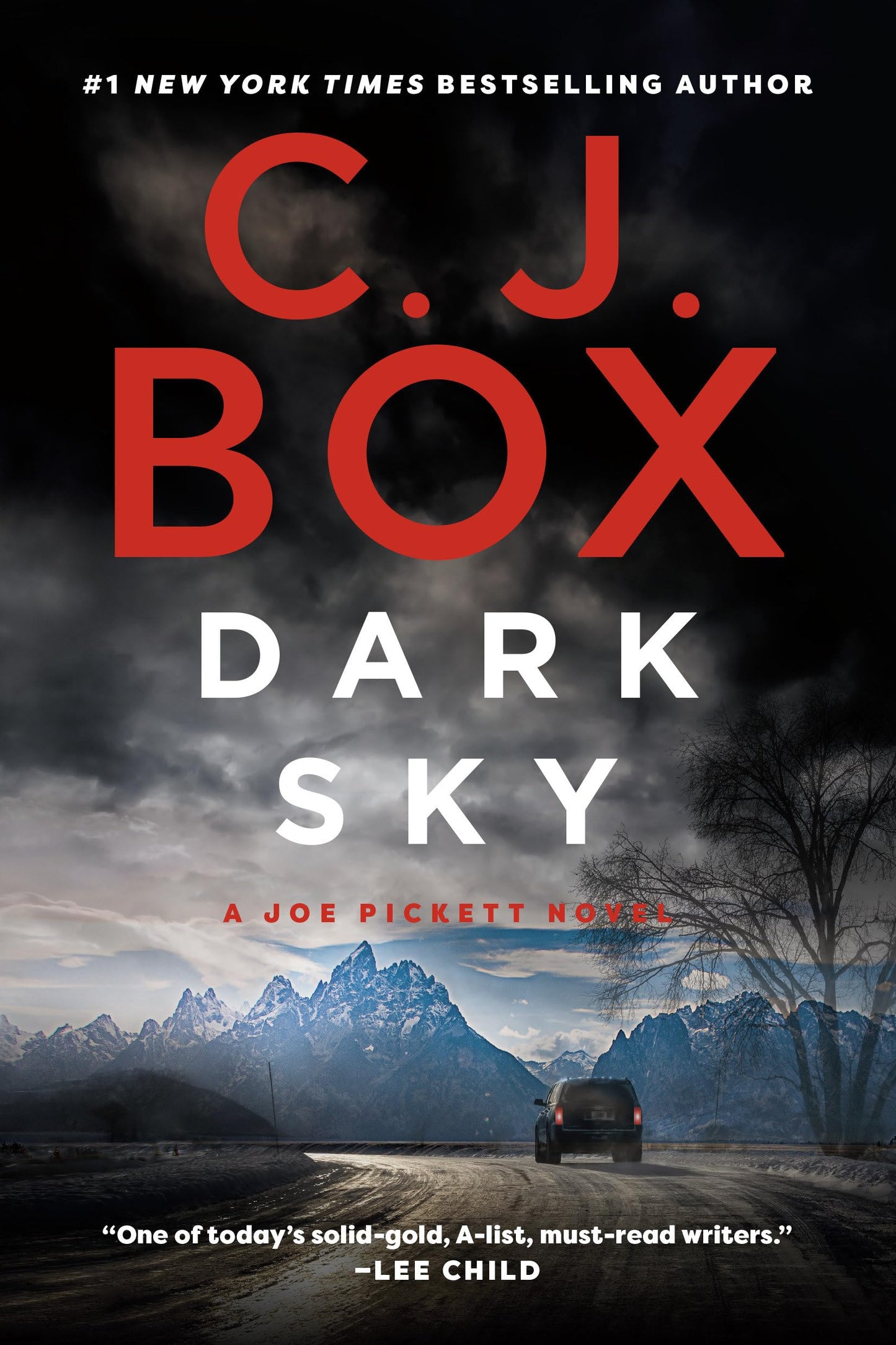 Dark Sky book cover