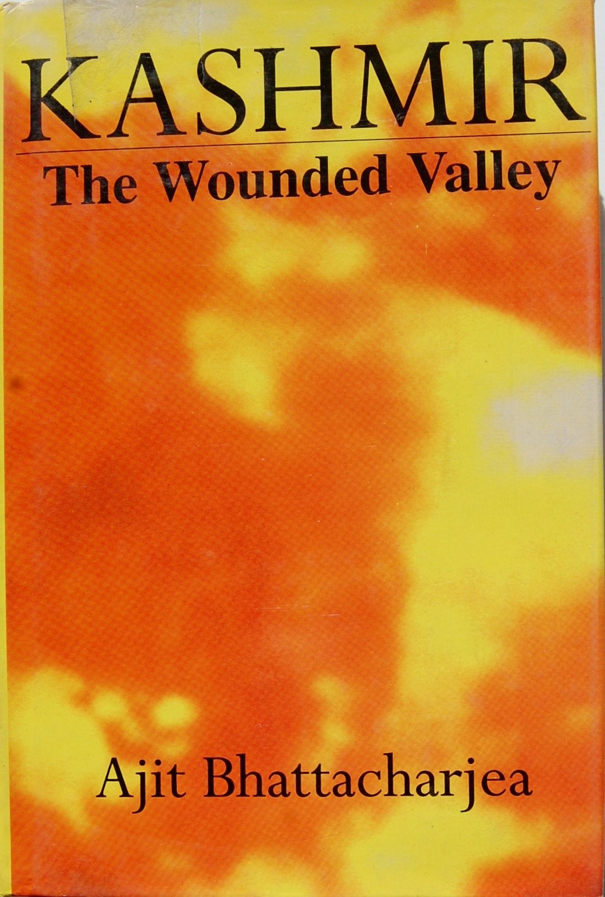Kashmir: The Wounded Valley book cover
